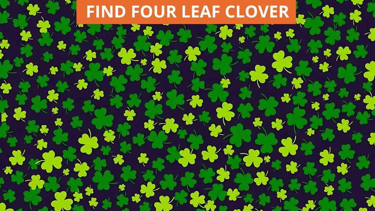 Only 1% of High IQ Geniuses Can Find the Four Leaf Clover in 6 Seconds!
