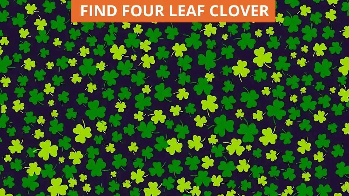 Find four-leaf clover