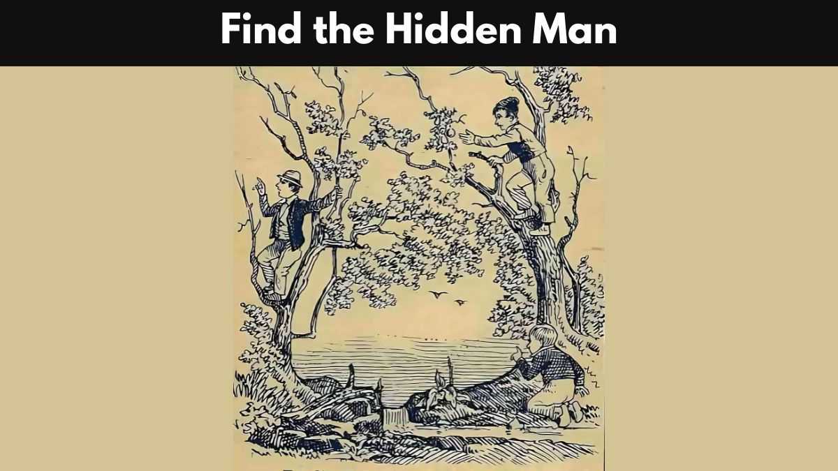 Optical Illusion: You Have a High IQ and Sharp Eyes if You Can Find the ...