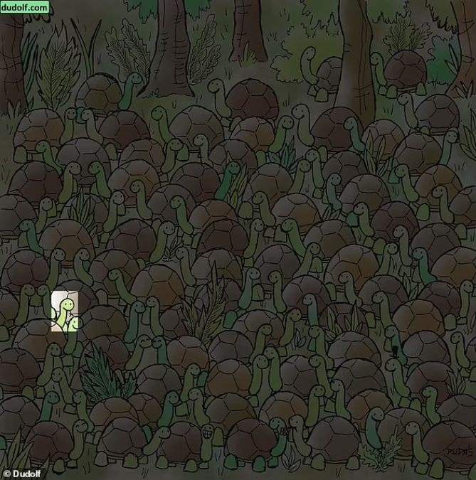 hidden picture puzzles with answers