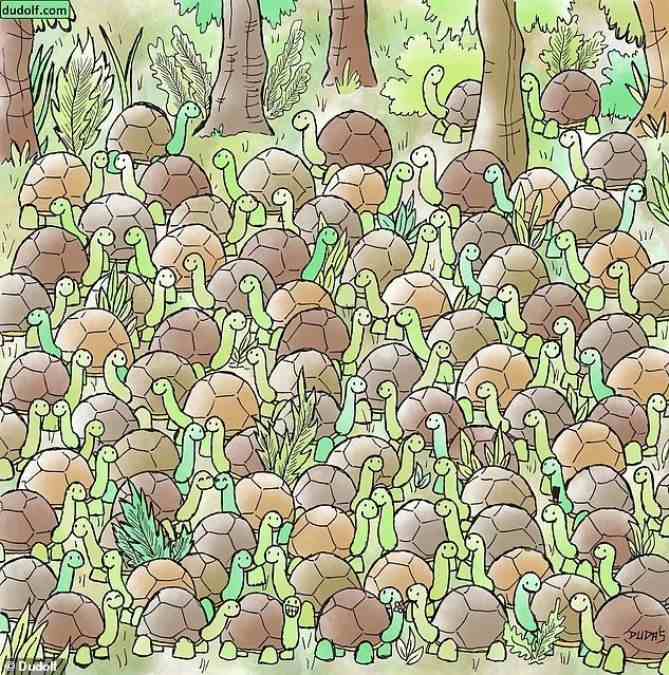 hidden picture puzzles with answers