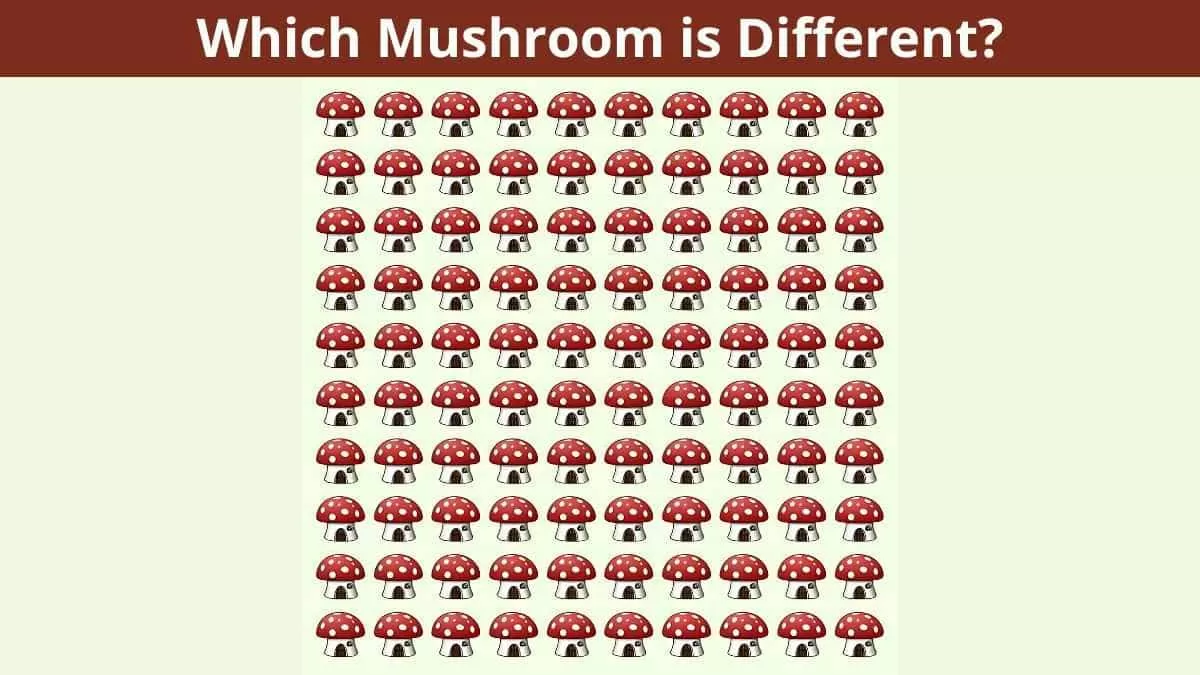 Which mushroom is different?
