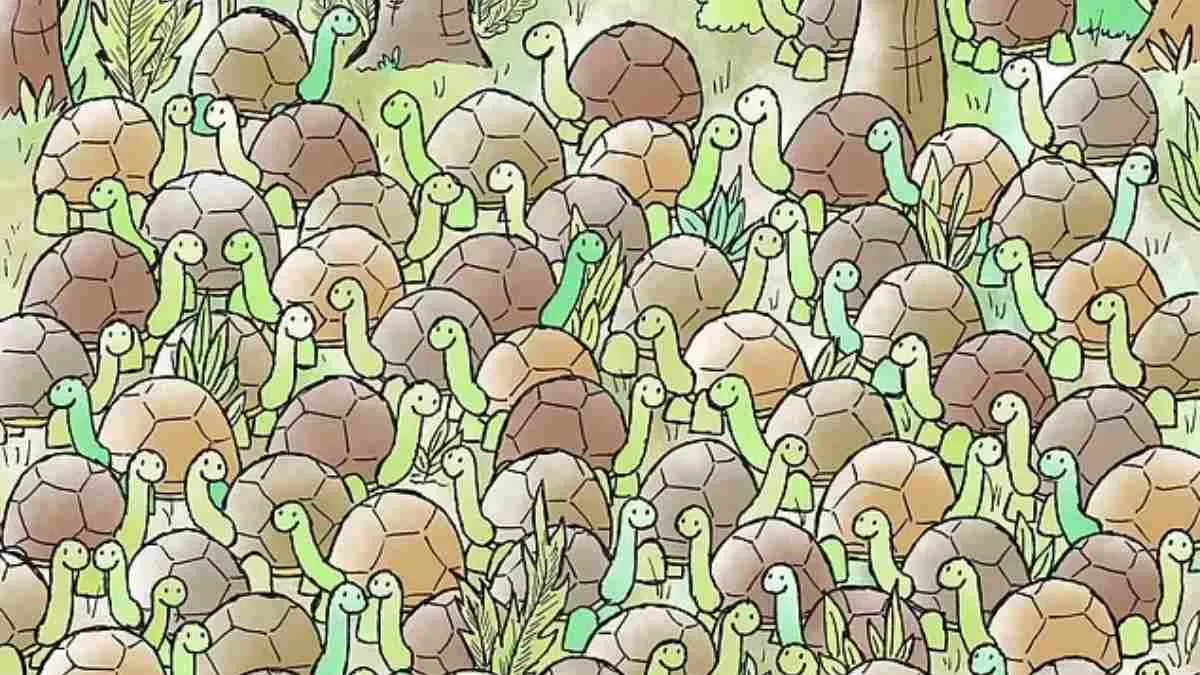 Spot the snake.