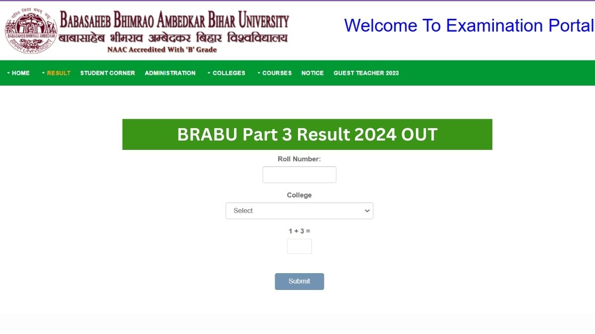 BRABU Part 3 Result 2024 brabu.net पर घोषित, अभी डाउनलोड करें BA, BSc, BCom TDC एग्जाम मार्कशीट