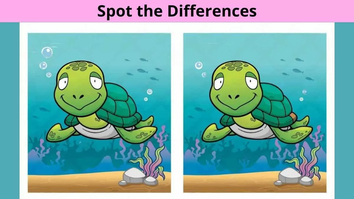 Spot the differences