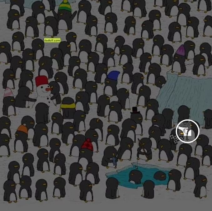 hidden picture puzzles with answers