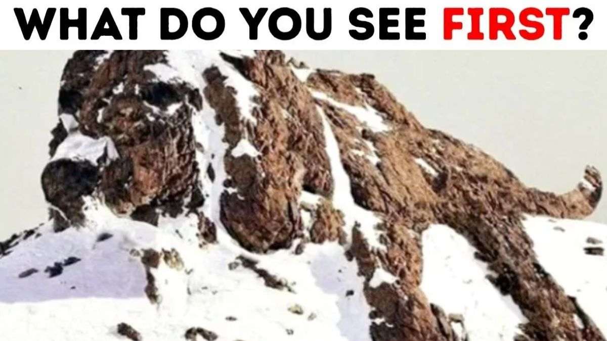 Dog Or Mountains? What You See First In This Optical Illusion Personality Test Reveals If You Are Emotional Or Practical