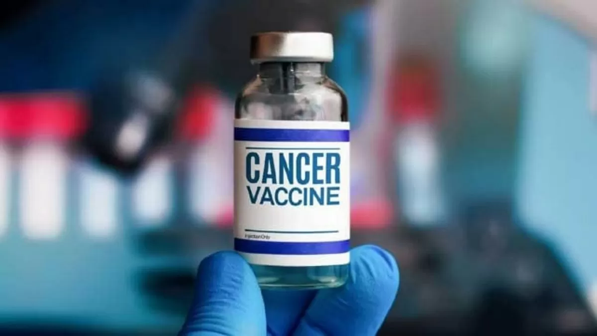 Cancer vaccines aim to enhance the immune system’s ability to detect and attack cancerous cells. 
