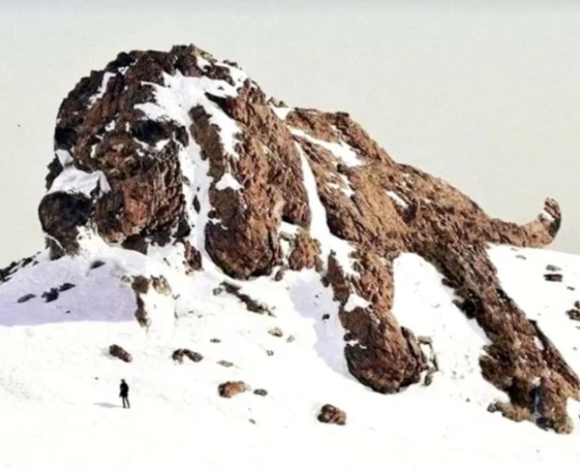 optical illusion personality test