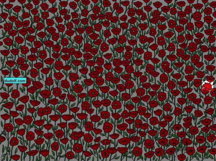 hidden optical illusions with answers