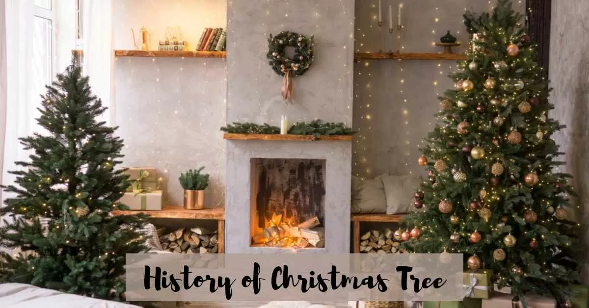 What is the History of Christmas Tree? 