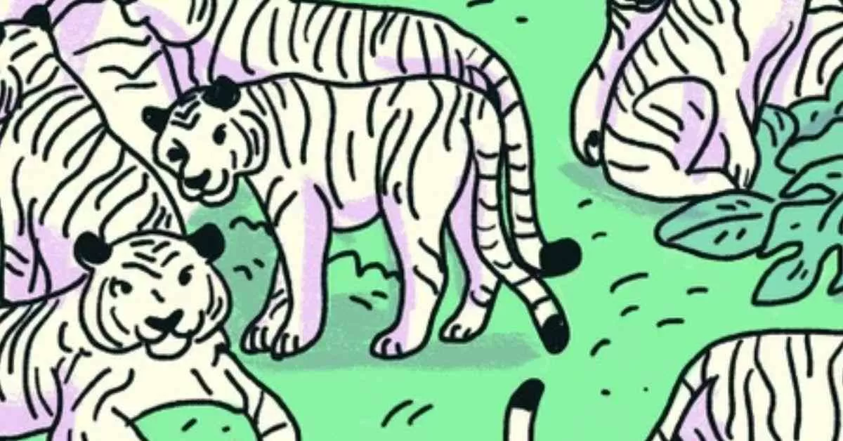 Find the Zebra Among Tigers in 3 Seconds