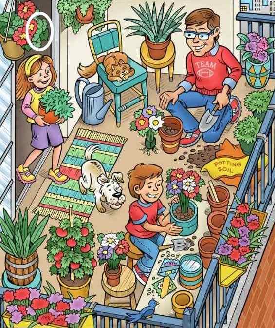 hidden picture puzzles with answers