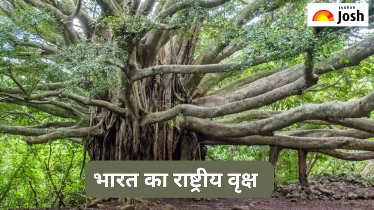 भारत का राष्ट्रीय वृक्ष