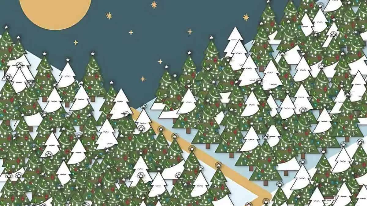 find the hidden elf