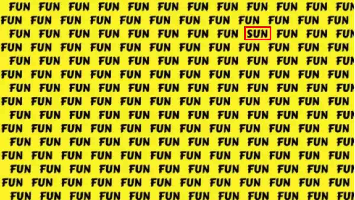 optical illusion pictures with hidden images