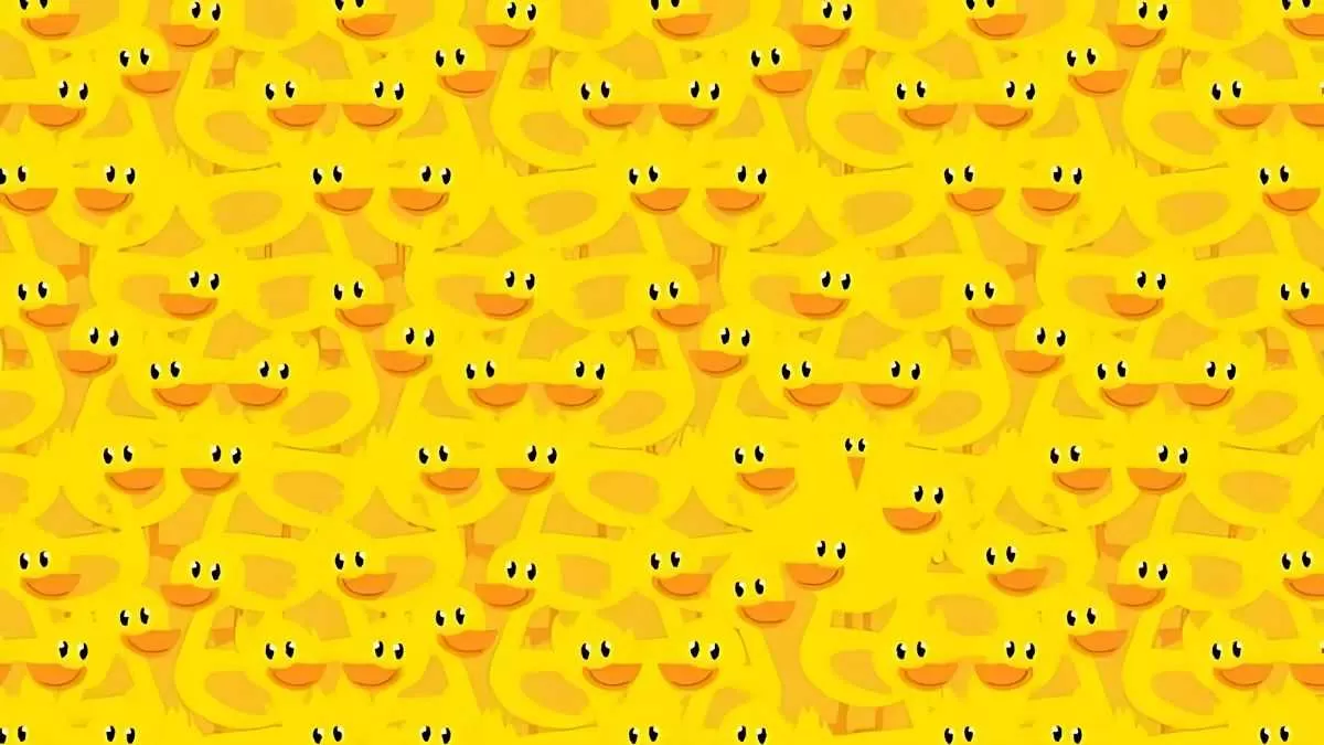 Find chicken among ducks