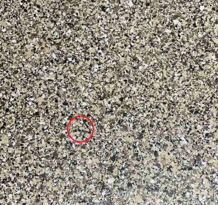 hidden optical illusions with answers