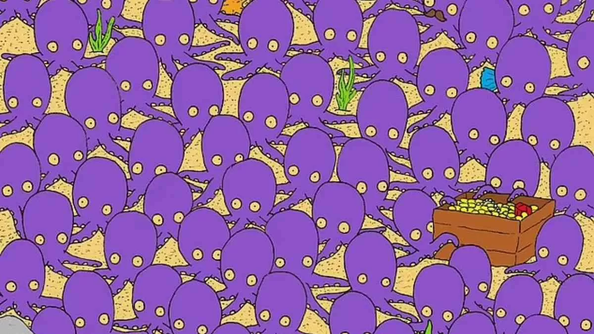 Spot the fish.
