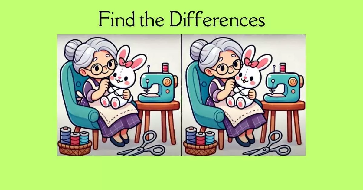 Spot the 3 Differences in Lady Sewing Teddy Bear