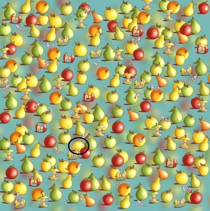 hidden optical illusions with answers