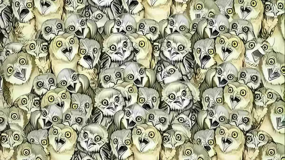 You have 20/20 vision if you can find the cat among owls in 9 seconds!