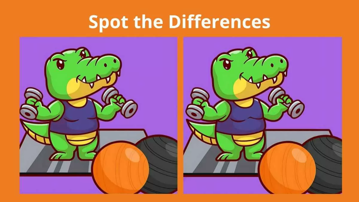 Spot 3 differences