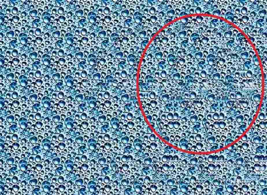 hidden optical illusions with answers