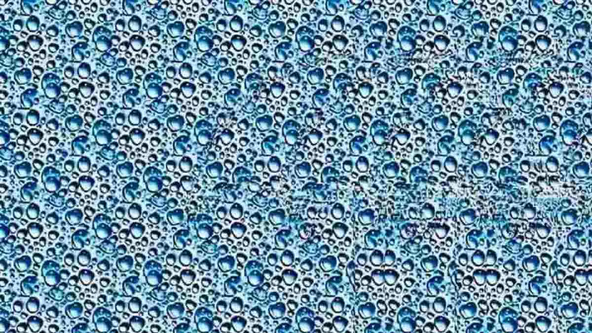 Spot the hidden object.