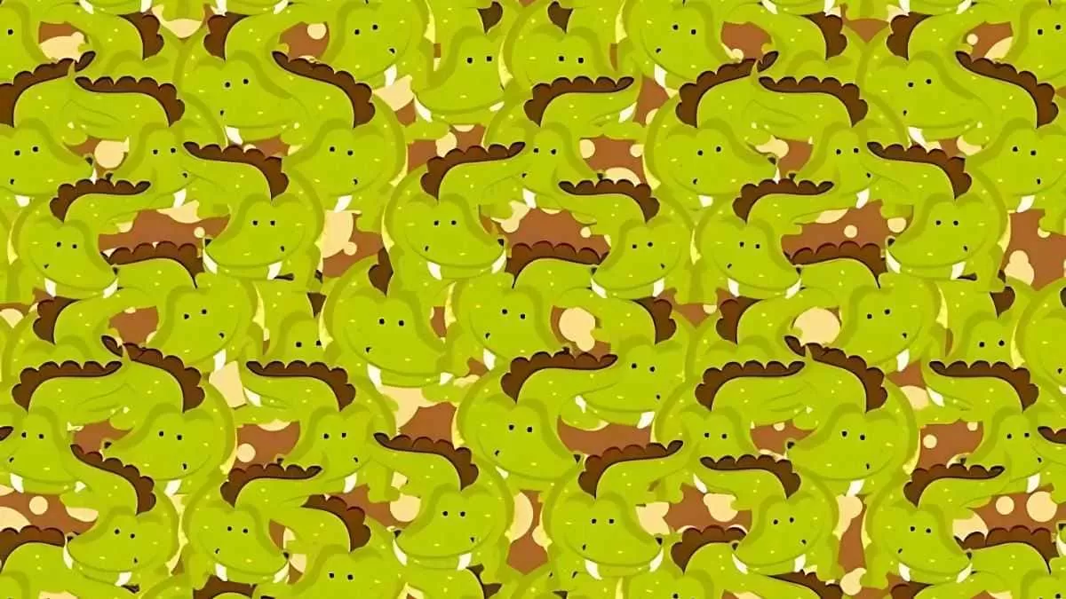 Find the hidden bear