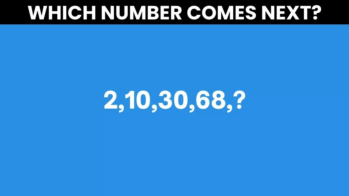 Which number comes next?