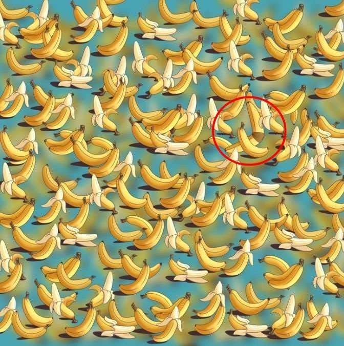 optical illusions test 