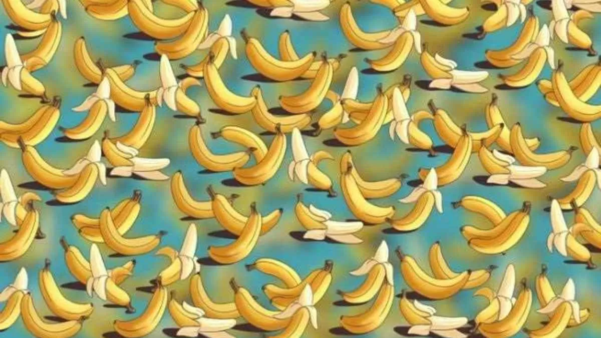Spot the boomerang.