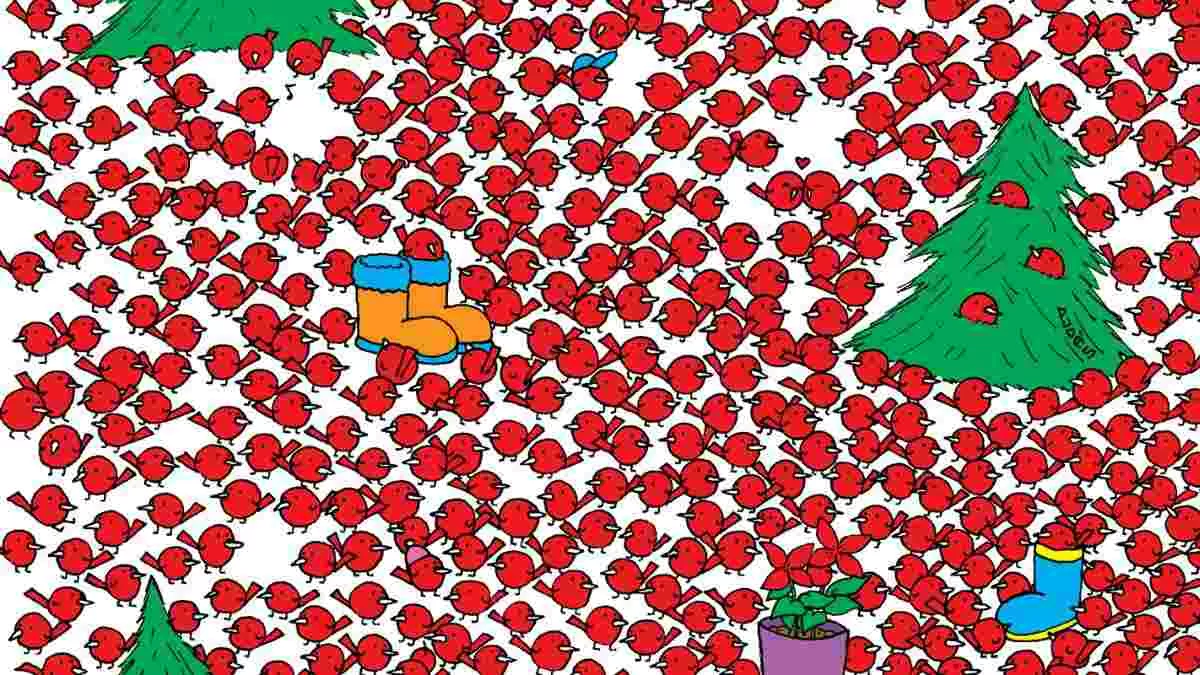 Spot three apples.