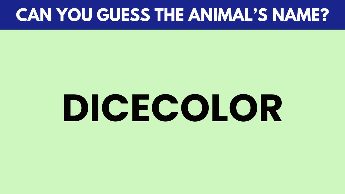 IQ Test: Guess the animal's name in 5 seconds!