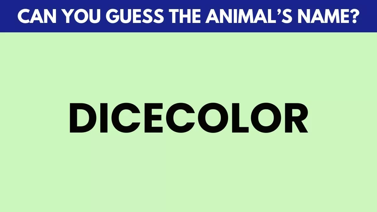 Guess the animal name