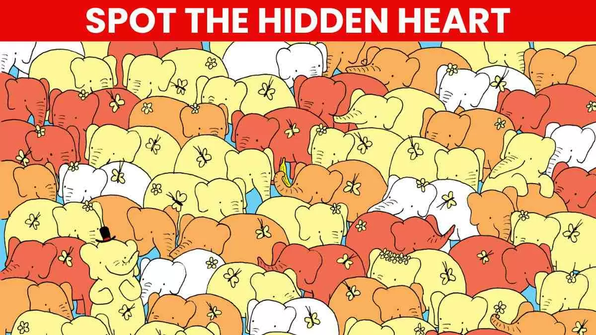 Spot the hidden heart.