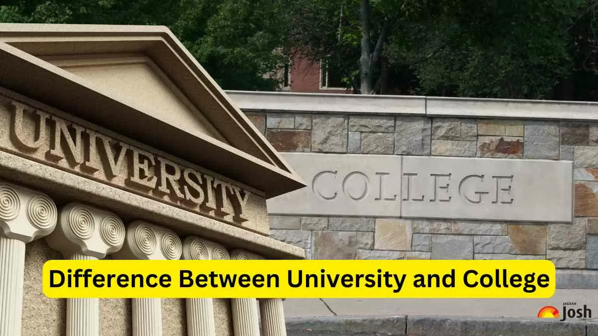 Difference Between University and College