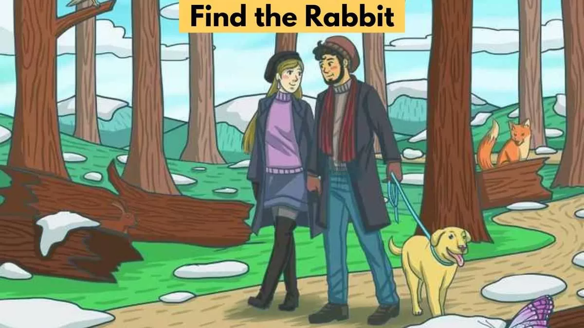 Find hidden rabbit