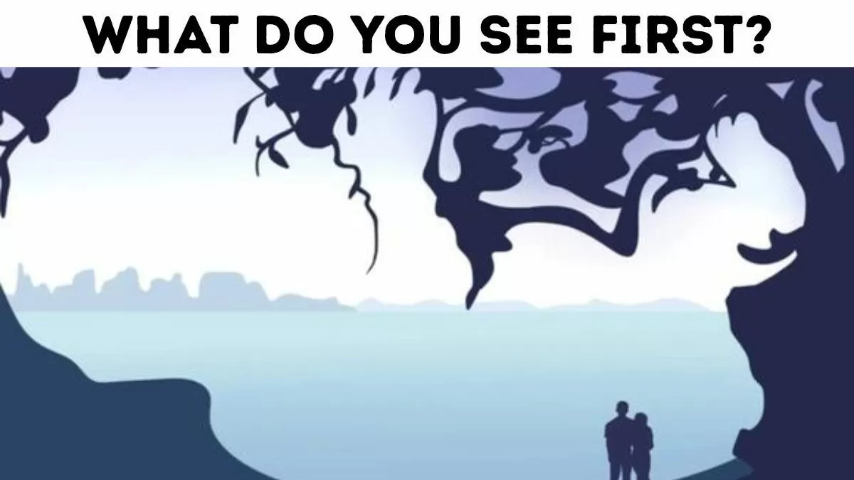 Optical Illusion Personality Test