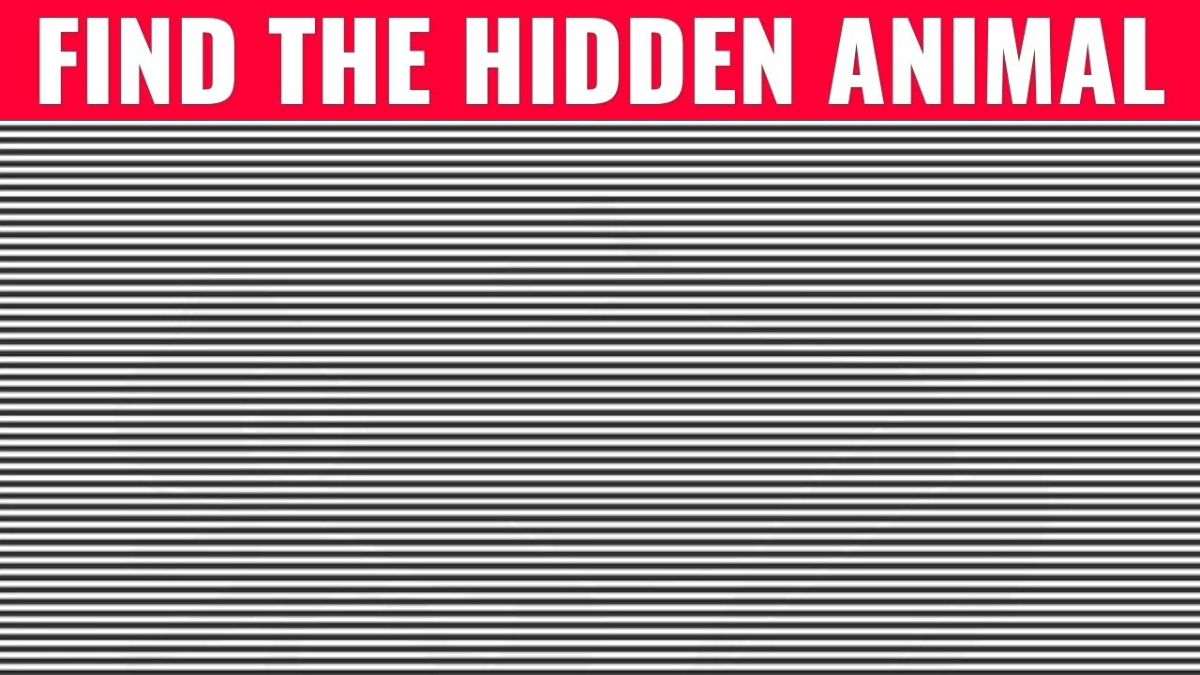 Optical Illusion Iq Test Only 1 With Exceptional Intelligence Can Optical Illusion Iq Test Only 1 With Exceptional Intelligence Can