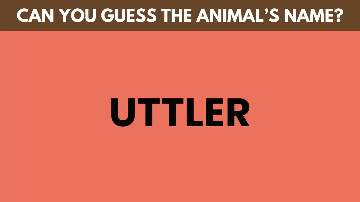 Guess the animal's name