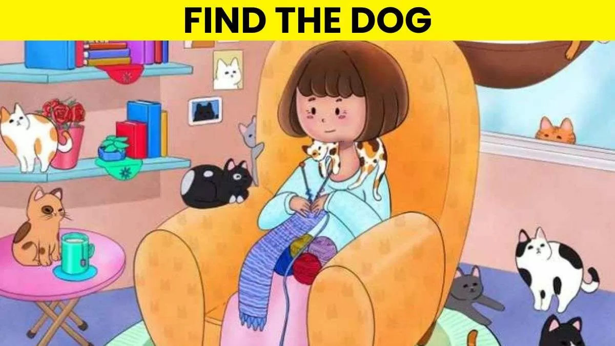 Spot the dog.