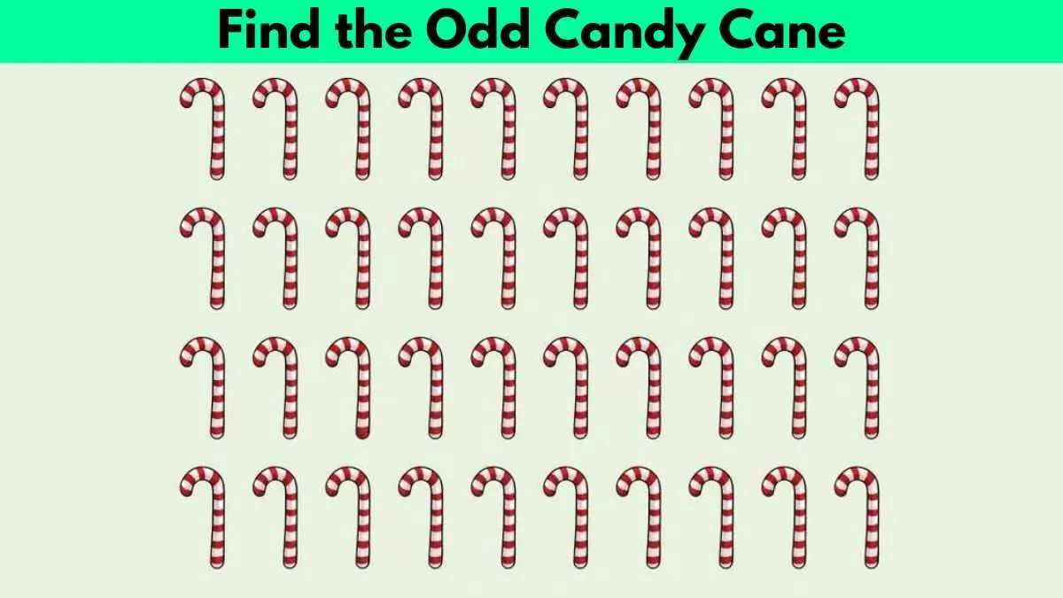 Find odd candy cane