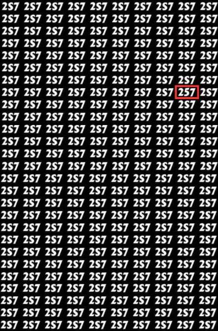 optical illusions with answers