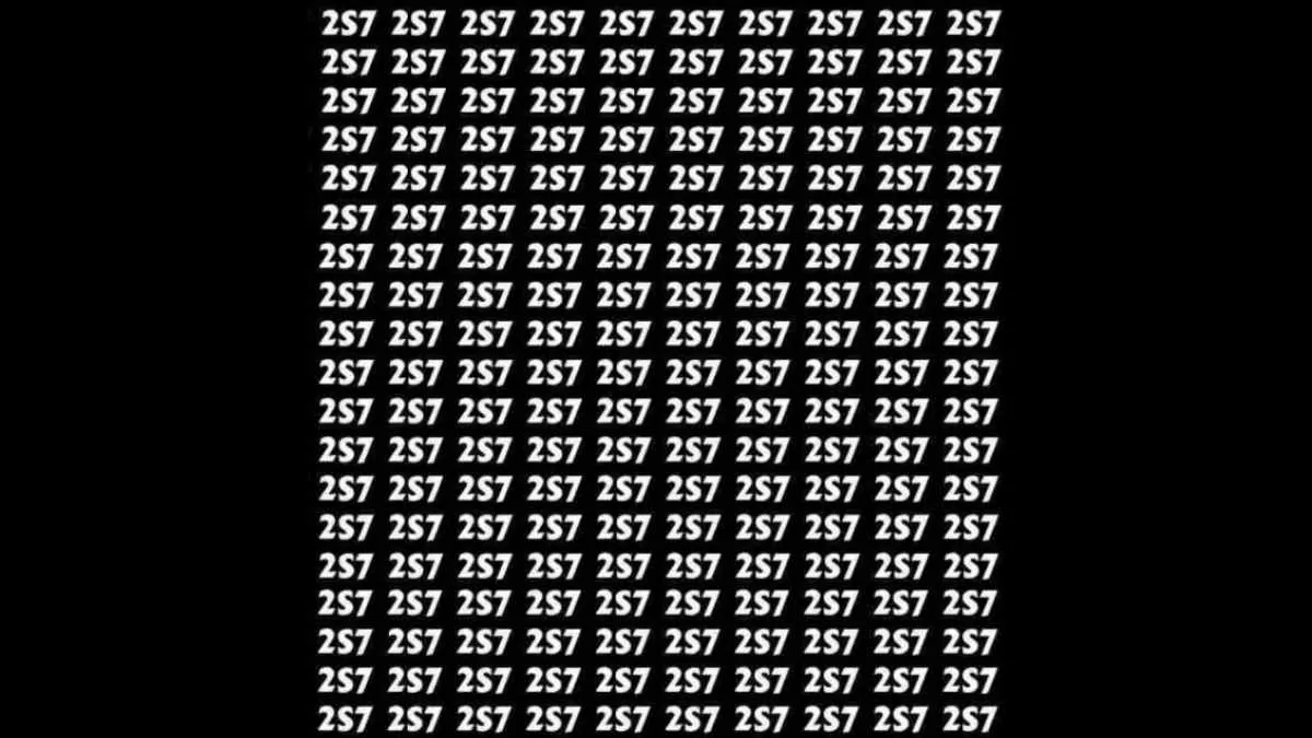 Spot the number 257.