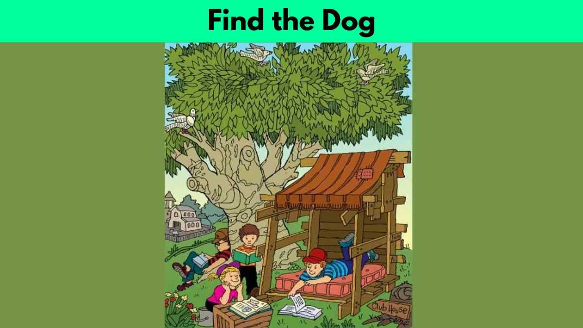 Optical Illusion: Only eagle eyes can find the dog in 4 seconds!