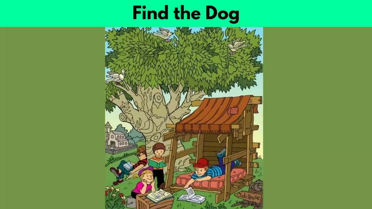 Find the dog