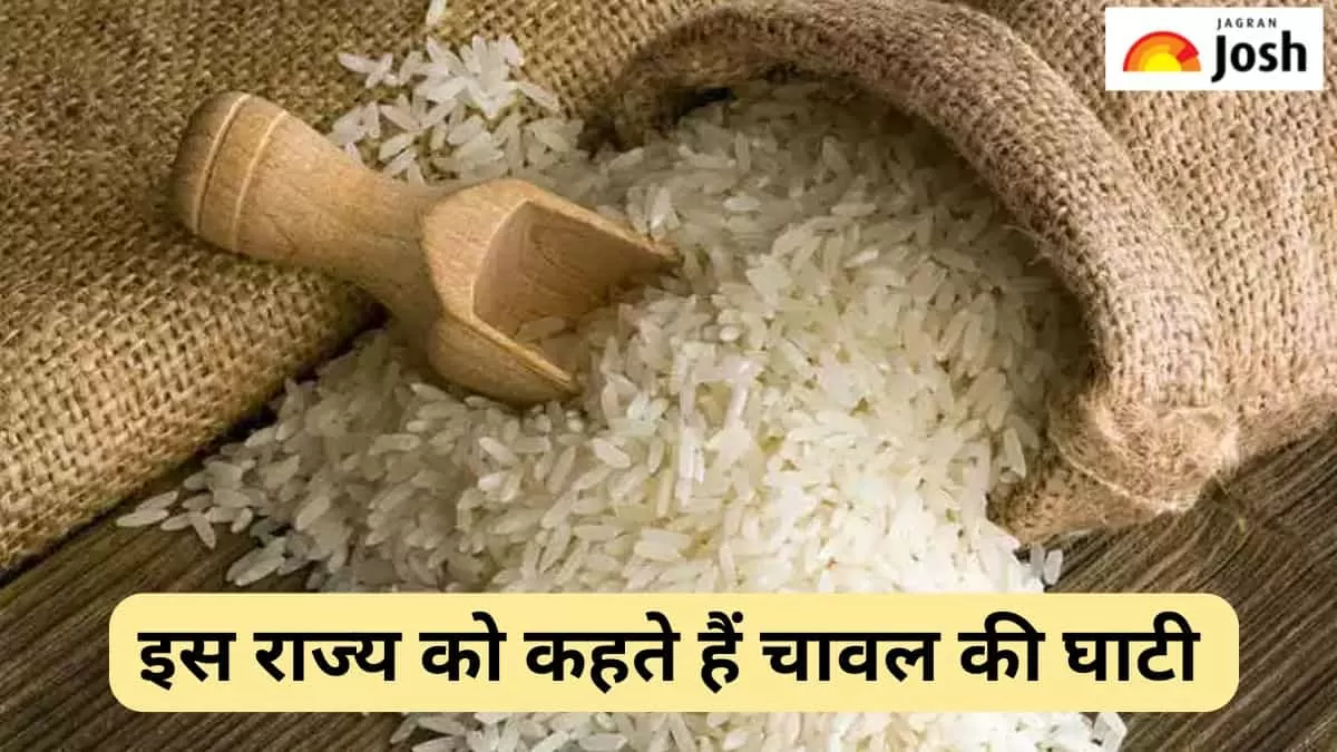भारत में चावल की घाटी 