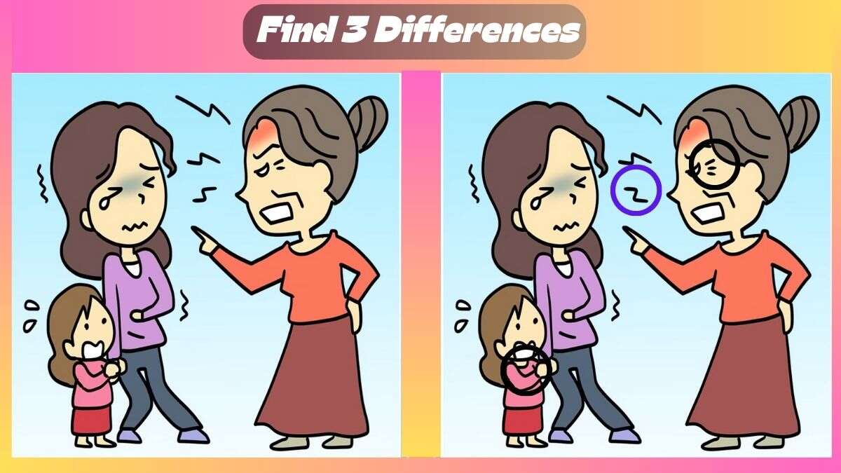 Find 3 Differences In 32 Seconds In Grandma Scolding Scene